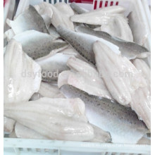 Pez de pescado de filete de lubina congelada en IQF hotsale